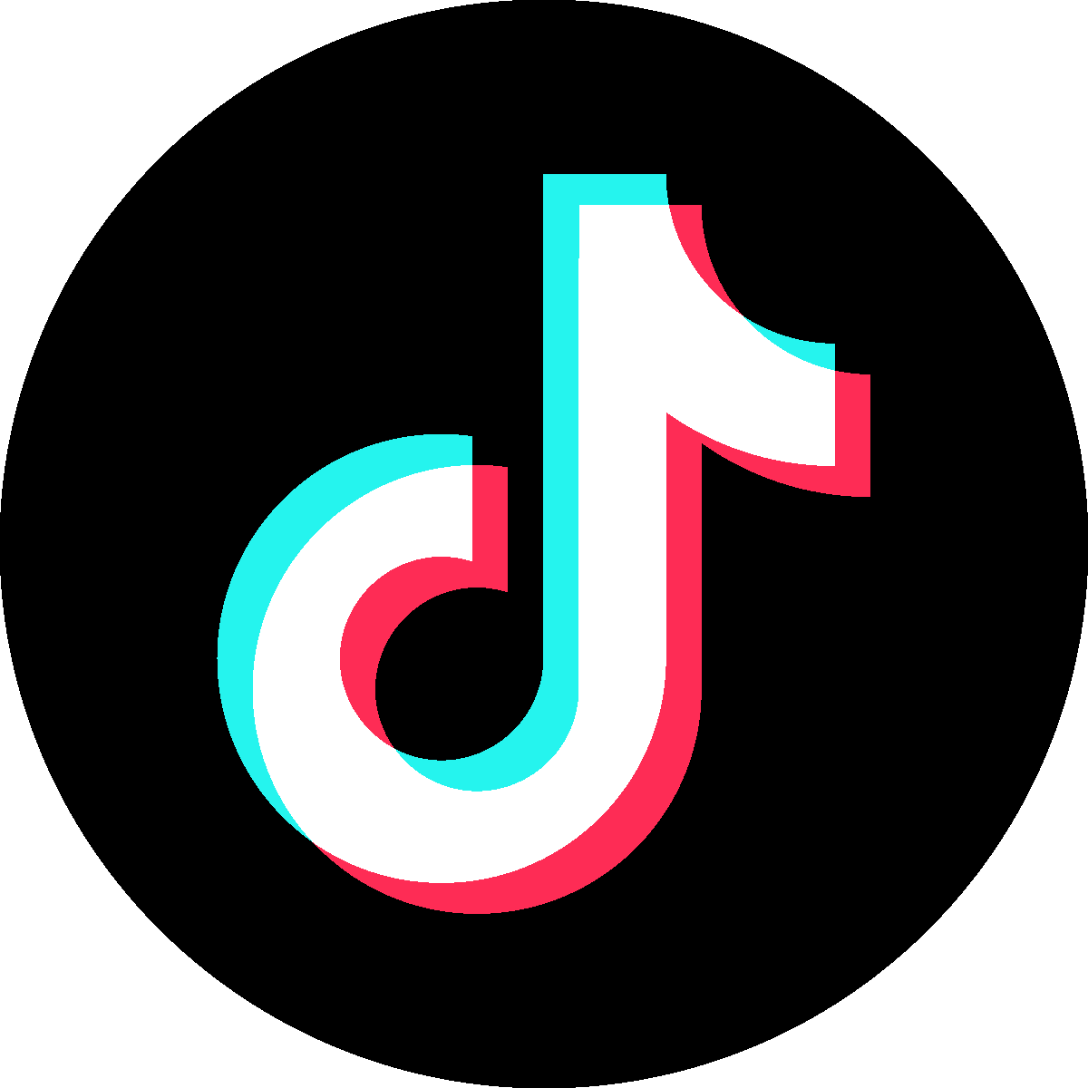 TikTok Ads